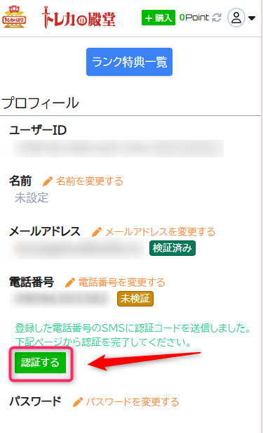 初回限定のSMS認証ボーナスで500ptゲット