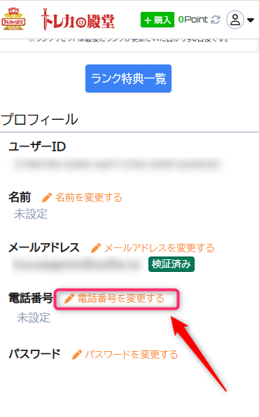 初回限定のSMS認証ボーナスで500ptゲット
