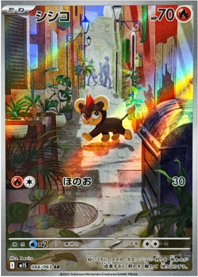 シシコ AR 066 063