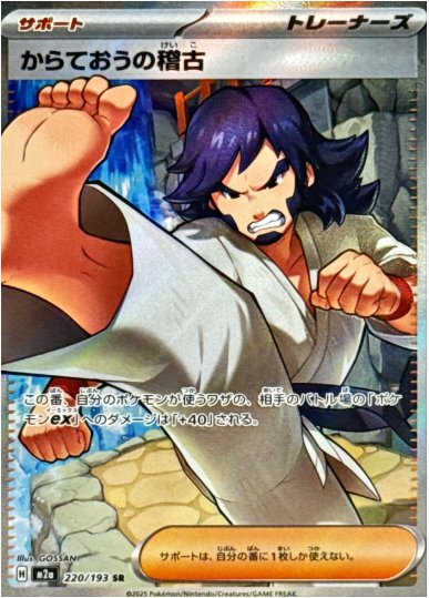 からておうの稽古 SR 220 193