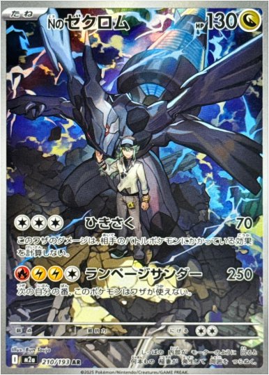 Nのゼクロム AR 210 193