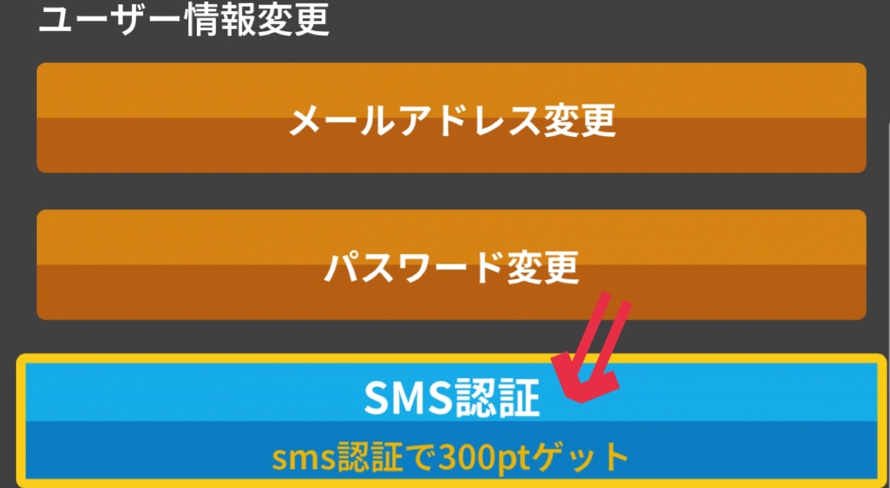 SMS認証で300ptプレゼント